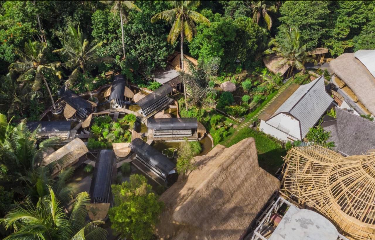 Aerial view of Naya Eco Village nestled in the jungle